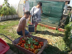Two persons gardening in their community home.
